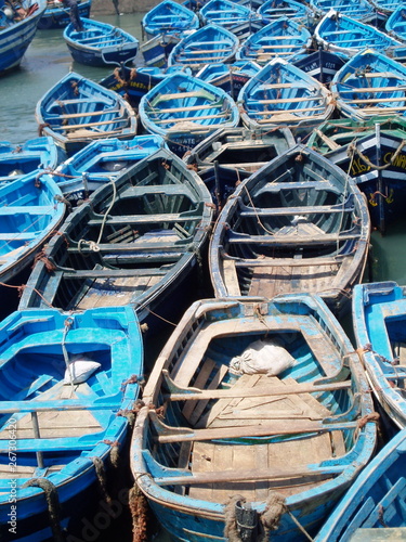 les bateaux de essaouira