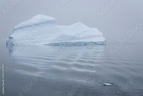 Sculptural iceberg shrouded in fog and floating in the waters of Antarctica © knelson20