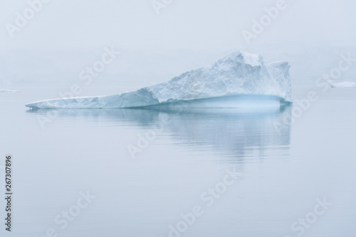 Sculptural iceberg shrouded in fog and floating in the waters of Antarctica © knelson20