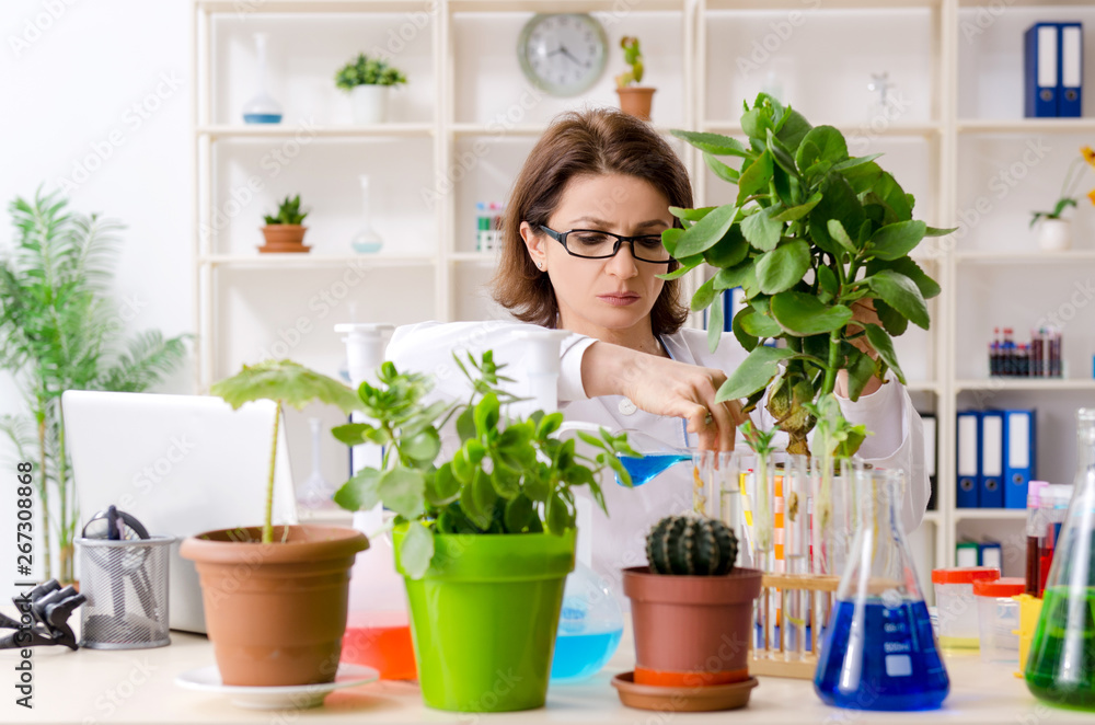 Old female biotechnology chemist working in the lab Old female biotechnology chemist working in the lab