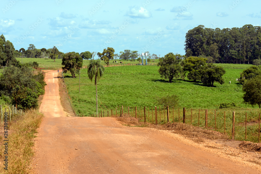 Dirt road bordered by pasture, fence and trees