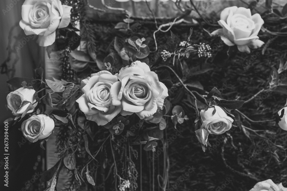Beautiful vintage roses Is a picture of a black rose Beautiful patterns for  making various media Stock Photo | Adobe Stock