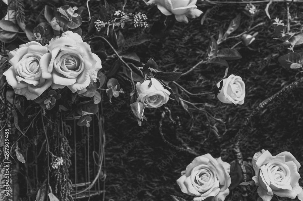 Beautiful vintage roses Is a picture of a black rose Beautiful patterns ...