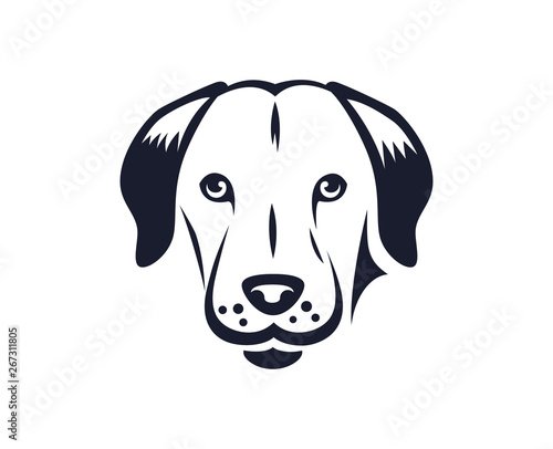 Labrador dog puppy isolated on white background