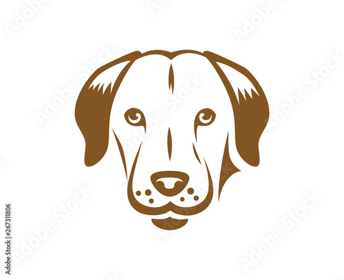 Labrador dog puppy isolated on white background