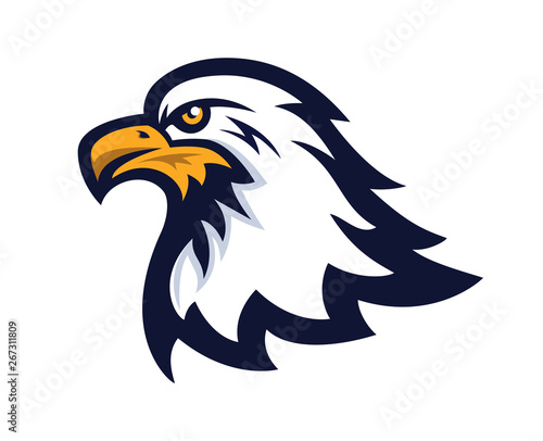 Bald eagle mascot vector illustration