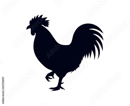 Isolated rooster on white background vector illustration