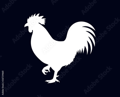 Isolated rooster on black background vector illustration
