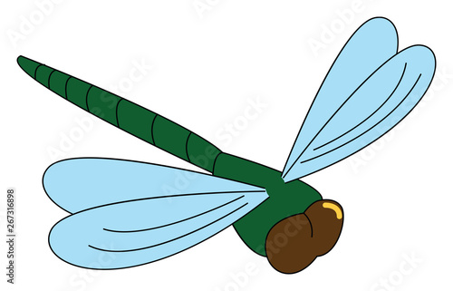 Green mosquito , vector or color illustration