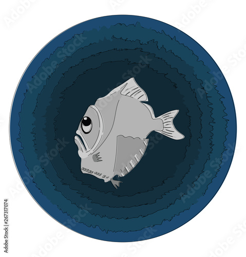 A grey hatchetfish, vector or color illustration photo