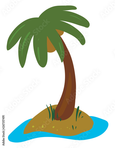 Clipart of the palm tree grown in the land surrounded by the water/Palm tree on an island, vector or color illustration