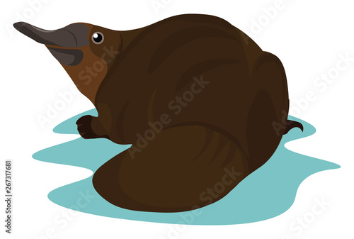 Clipart of the semi-aquatic egg-laying mammal, platypus, vector or color illustration