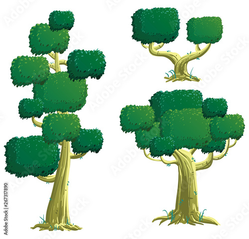 Landscape Tree 
