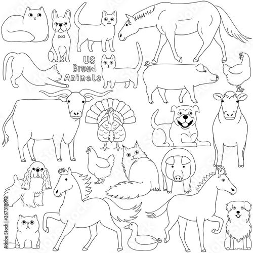 doodle of US breed domestic animals