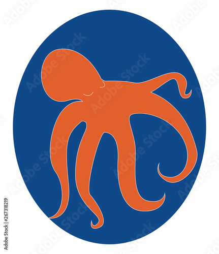 Portrait of the orange squid over blue background/Fast-swimming cephalopod mollusk, vector or color illustration