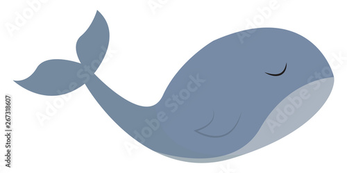 Clipart of a whale set isolated white background viewed from the side, vector or color illustration