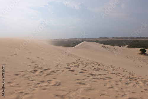 beautiful white sand dune on sunset background