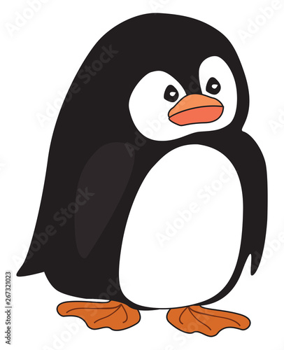 Piguin character pose 3, vector or color illustration. photo