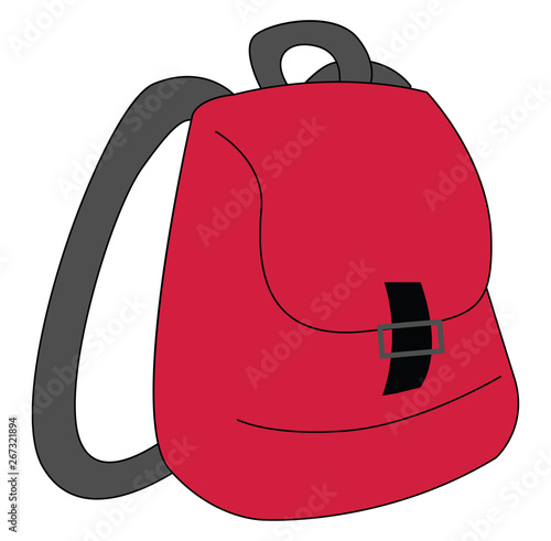 Image of backpack, vector or color illustration.