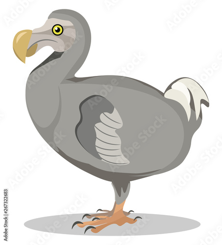 Image of dodo, vector or color illustration.