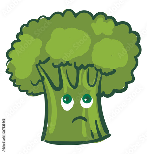 A melancholic broccoli, vector or color illustration.