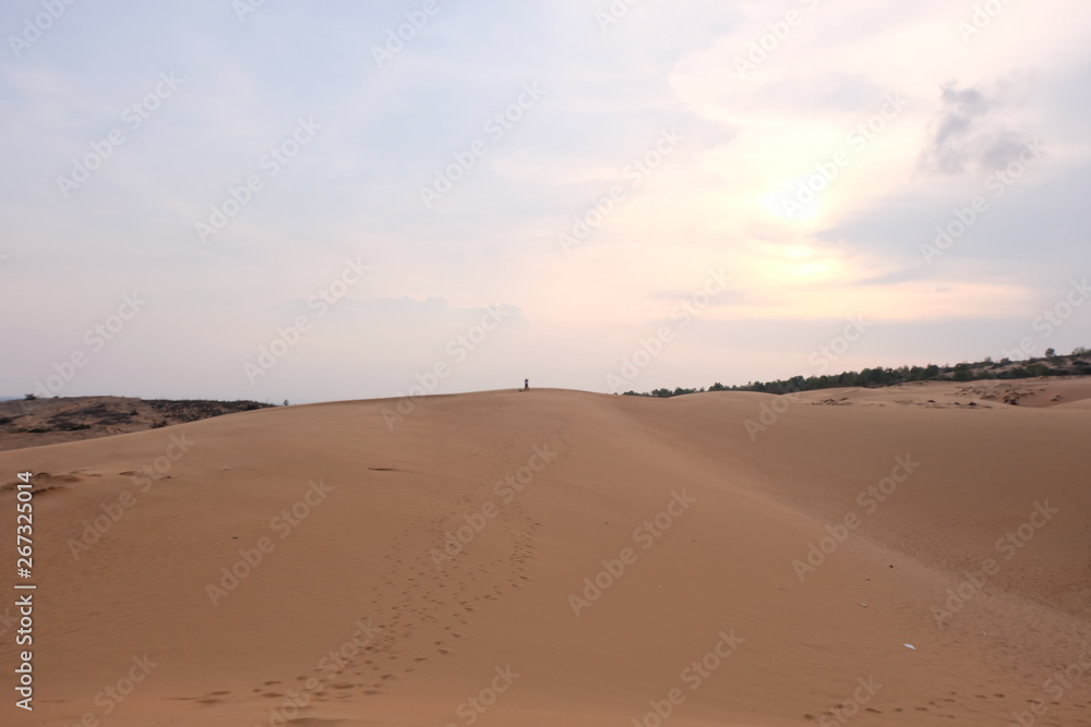 beautiful red sand dunes on sunset