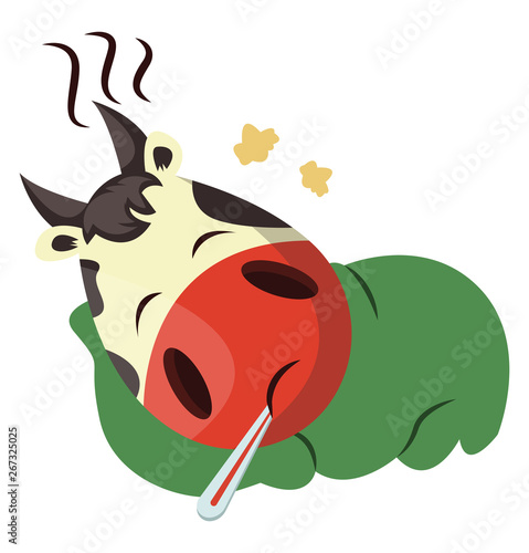 Cow is having a fever, illustration, vector on white background.