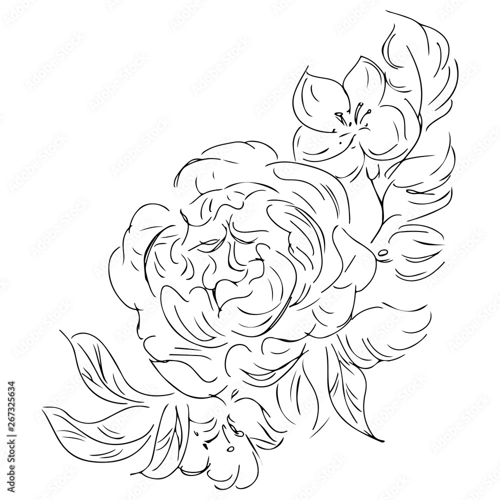 Fototapeta premium Hand drawn abstract peonies flowers isolated on white. Floral design elements for your wedding invitation and greeting card. Hand drawn illustration. Line art. Sketch