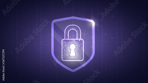 Online data protection shield