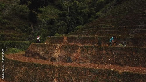 Parallax aerial shot of asian people working on rice fields, rice teraces in Vietnam photo