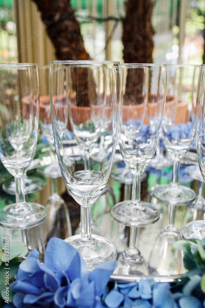 Empty glasses before party and decorations made of blue hortensia (hydrangea) flowers.