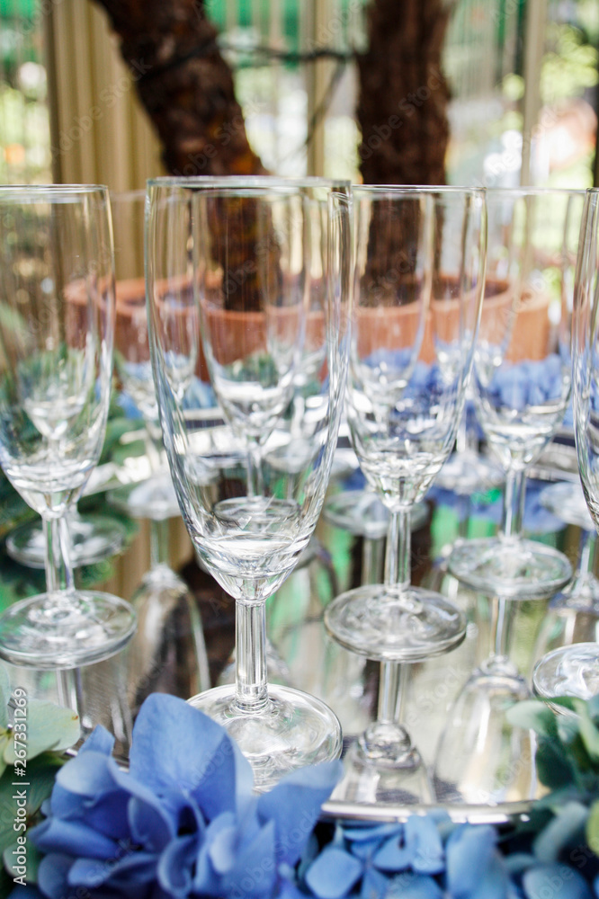 Empty glasses before party and decorations made of blue hortensia (hydrangea) flowers. Empty glasses before party and decorations made of blue hortensia (hydrangea) flowers.