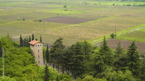 Top view of the Vineyards in Georgia. You can also see the tower
