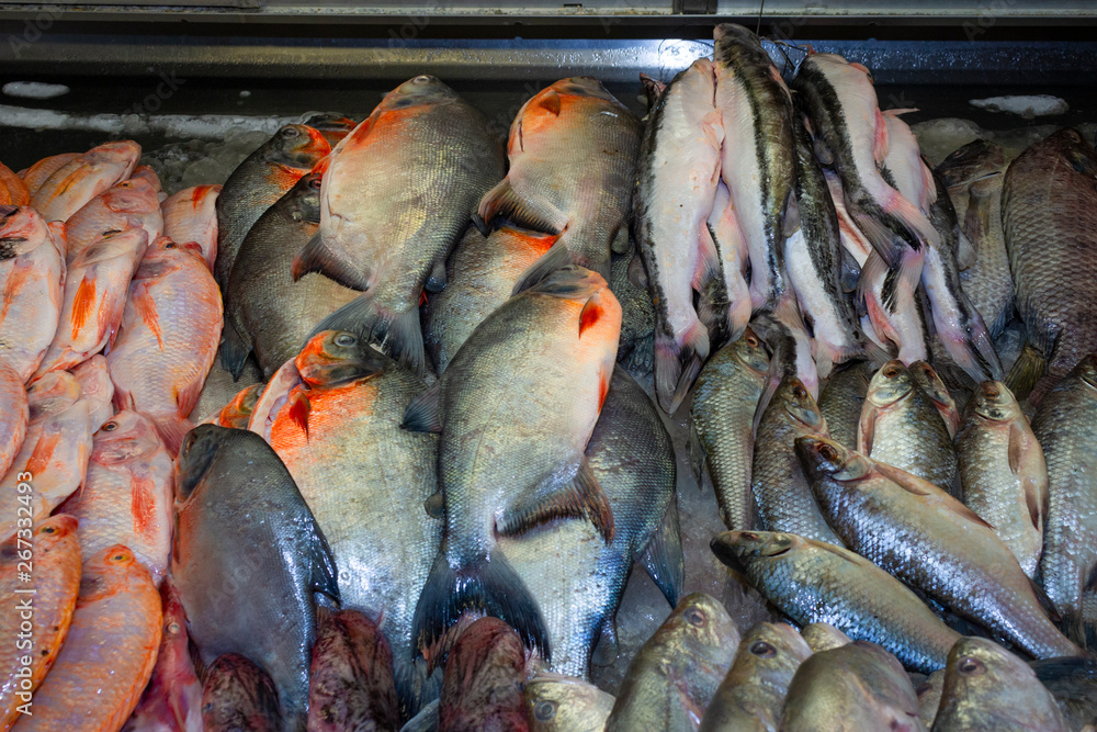  Frozen fish ready for sale