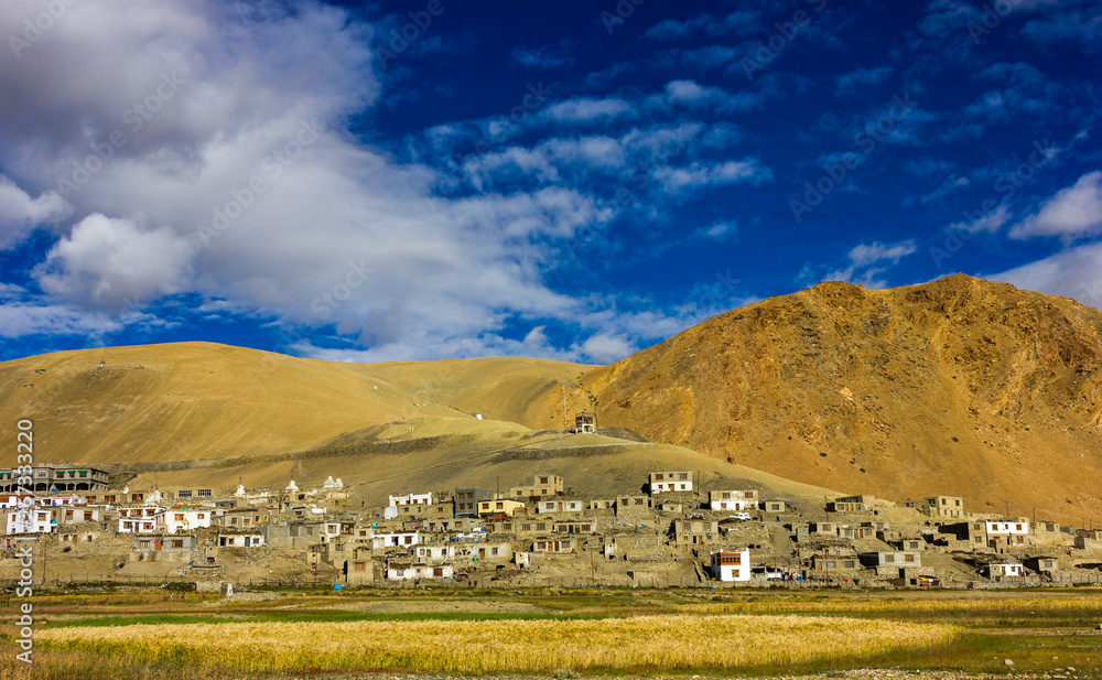 Korzok village near Tsomoriri lake in the background of mountain and blue sky in Leh-Ladakh