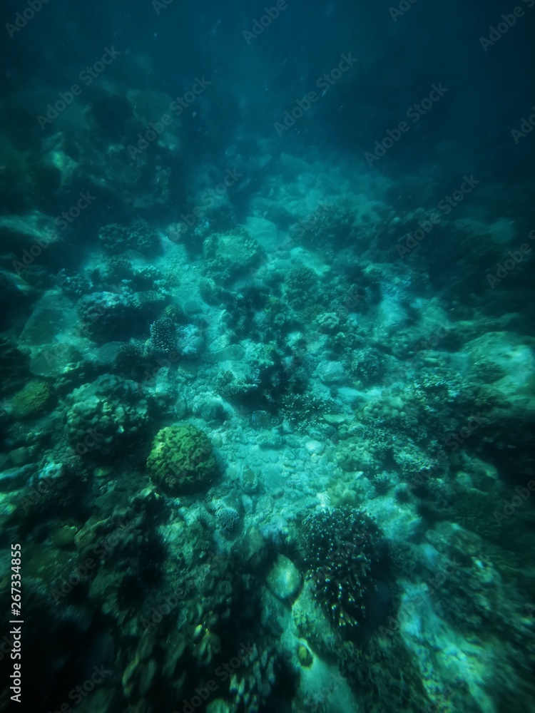 Fototapeta premium Aqua world 