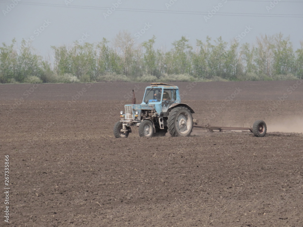 Obraz premium Landscape in the forest in the afternoon.Road.Trees.Grass