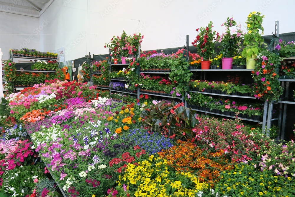 Obraz premium Feria de la primavera de Biescas España