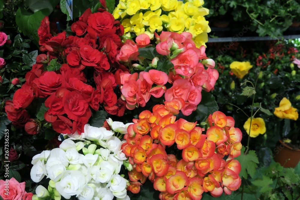 Feria de la primavera de Biescas España Feria de la primavera de Biescas España