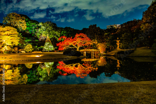 Tokyo, Japan - December 5, 2017: illumination at Japanese garden in autumn color