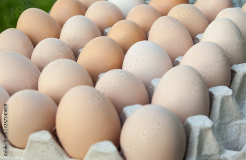 Eggs in the egg tray