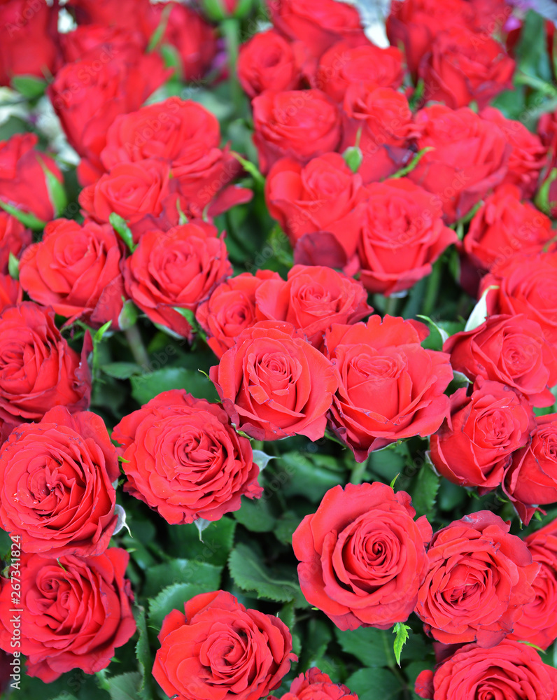 bouquet of red roses