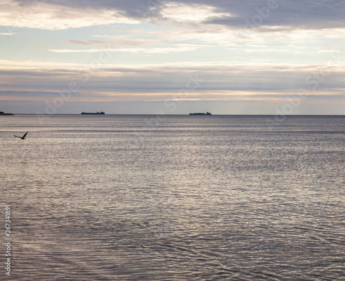 Ships lying in the roads in the Black Sea.