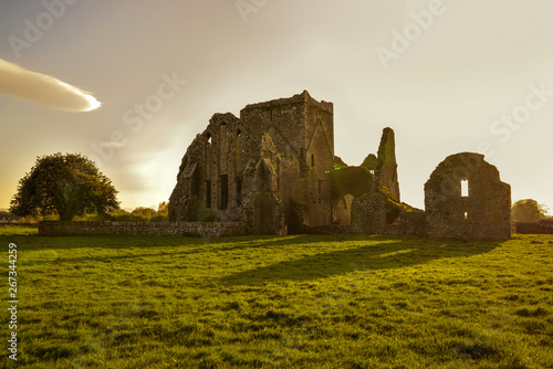 ruins of castle Ireland
