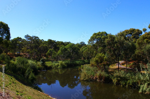 River Torrens in Adelaide  South Australia