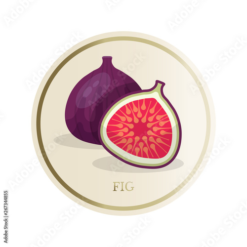 Fig flat circle sticker