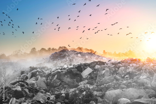 Photography Sunrise Sun above the ocean of garbage