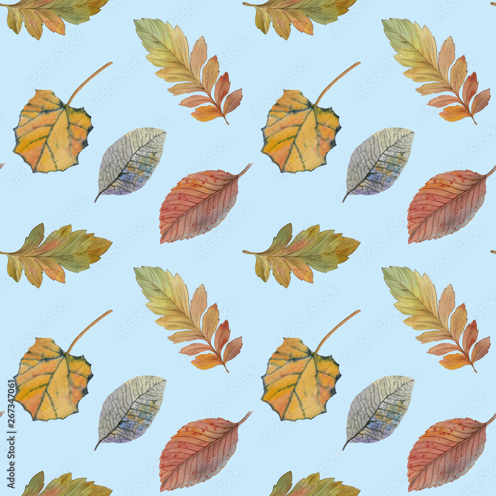Seamless watercolor pattern. A set of leaves for design. Watercolor painted autumn leaves. Design element. Elegant leaves for art design.