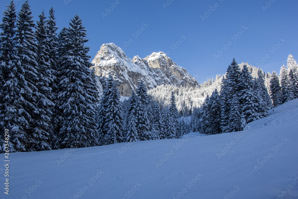 verschneite Gebirgslandschaft in den Alpen