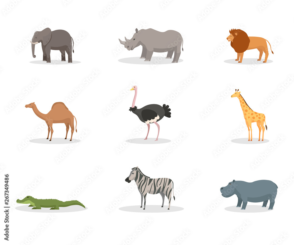 Exotic wild animals flat vector illustration set